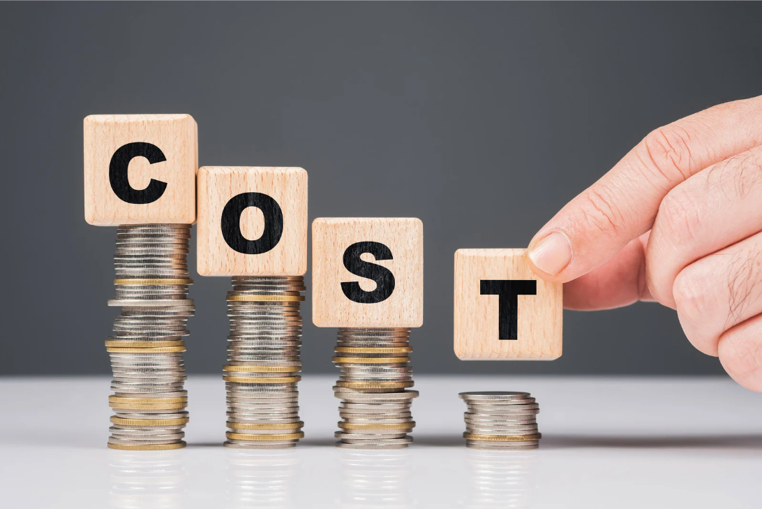 PMO implementation cost